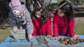 Lag en utstilling ute