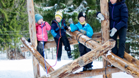 Taulek i revehiet - Er du like lur som reven?