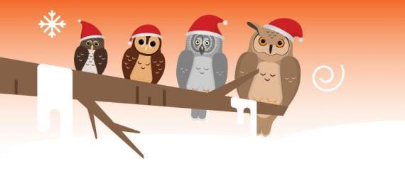 Fire illustrerte ugler med nisselue på, som sitter på en gren. 